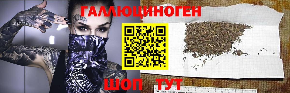 Галлюциногенные грибы GOLDEN TEACHER  Вход с VPN  Галлюциногенные грибы Psilocybe  Топки 
