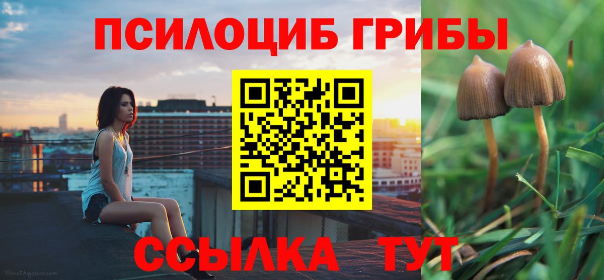 Галлюциногенные грибы Psilocybe Топки