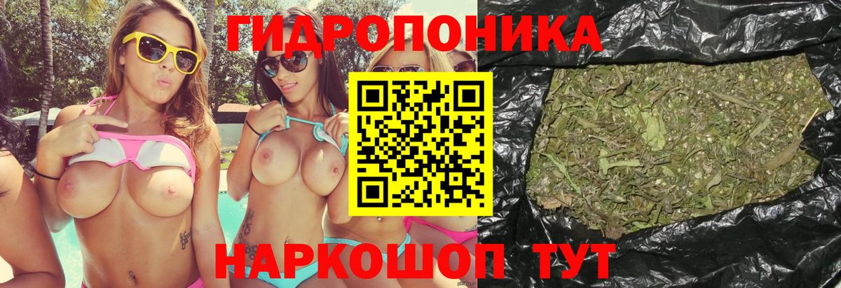 МАРИХУАНА марихуана  Каннабис сатива  Топки  Вход с VPN  Бошки марихуана SATIVA & INDICA  Каннабис ГИДРОПОН 